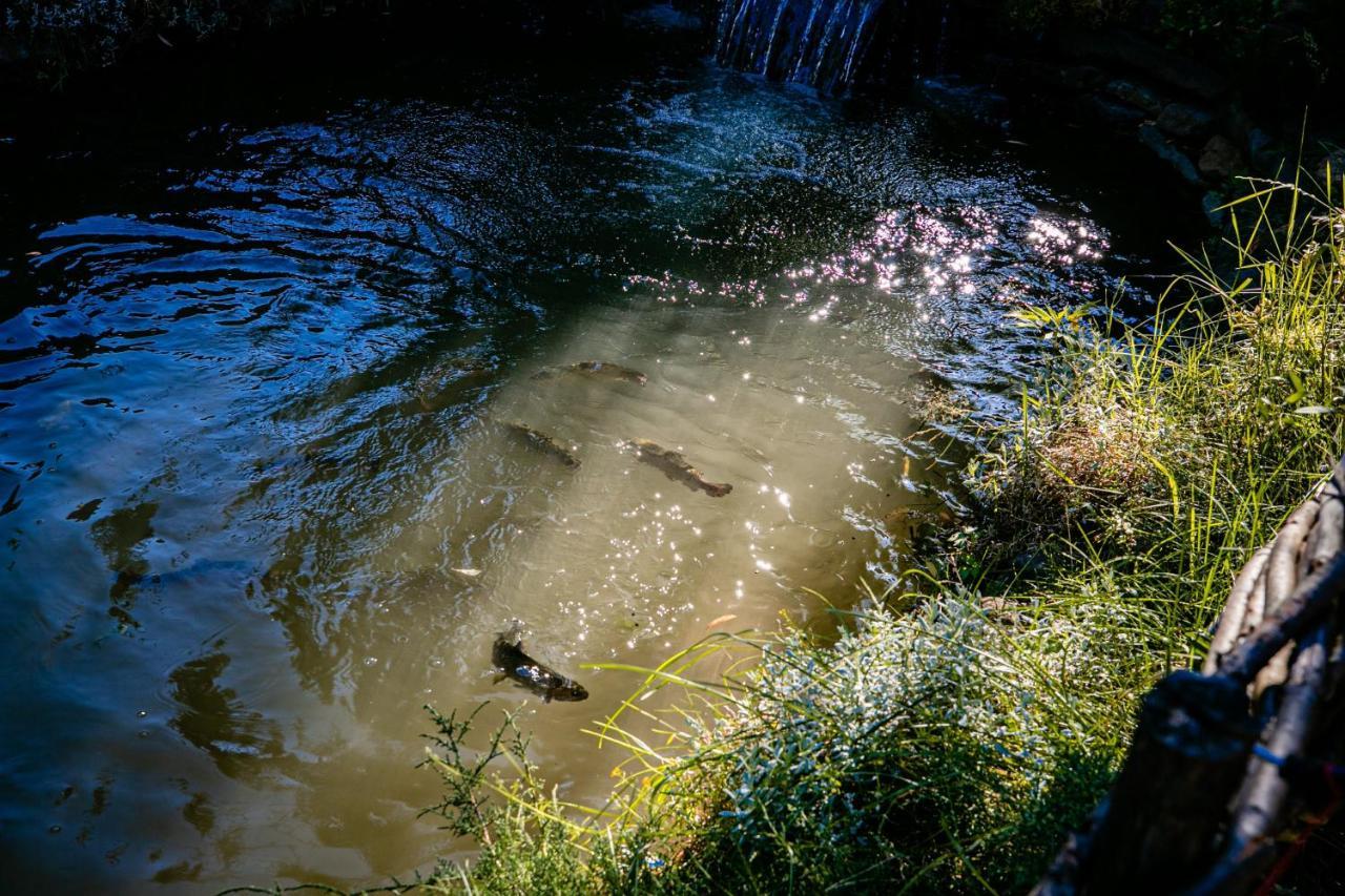 Pensiunea Glodeanca Bagian luar foto