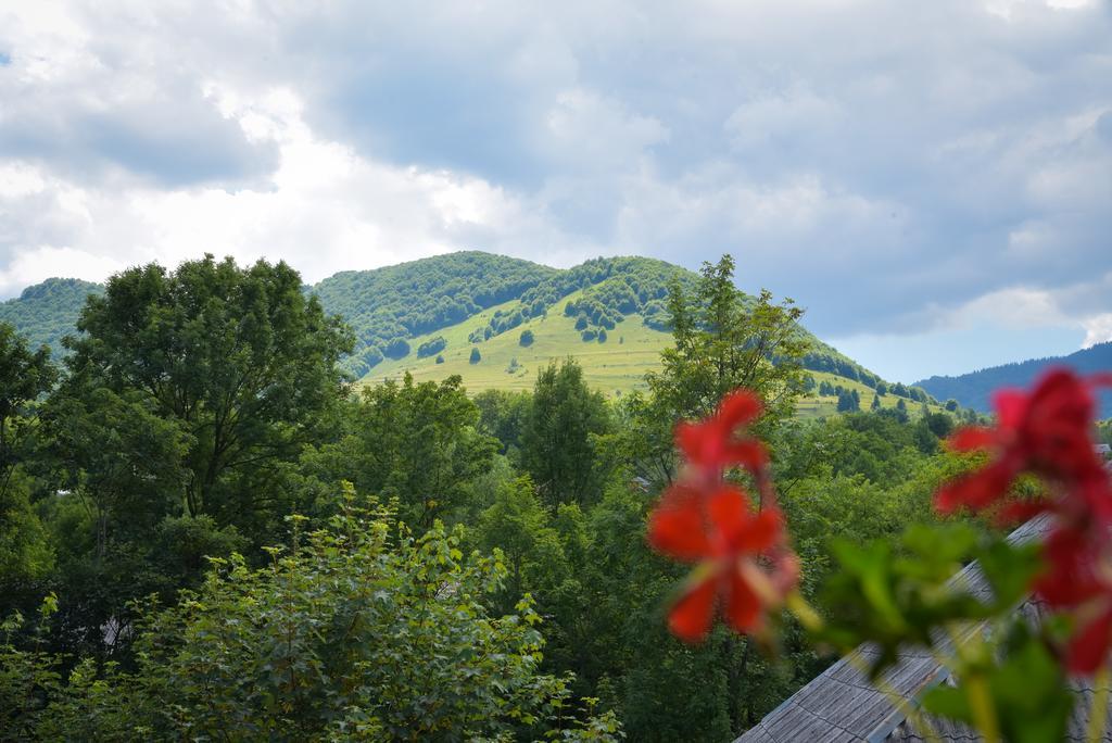 Pensiunea Glodeanca Bagian luar foto