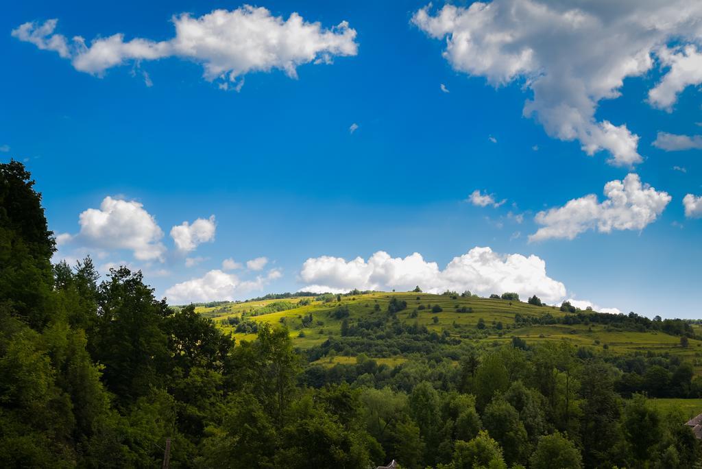 Pensiunea Glodeanca Bagian luar foto